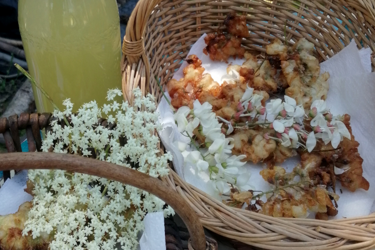 Tempura de fleurs
